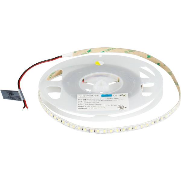 16' 24 volt Cool White Waterproof Coated Tape Light